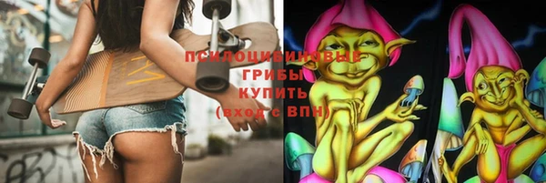 кокс Арсеньев