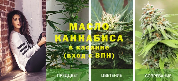 кокс Арсеньев